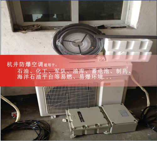 1p風(fēng)力發(fā)電廠變頻防爆空調(diào)圖片